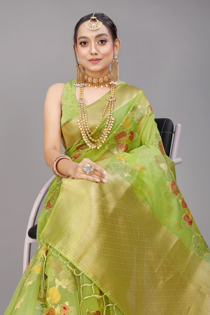 Pure organza Silk With gold jari