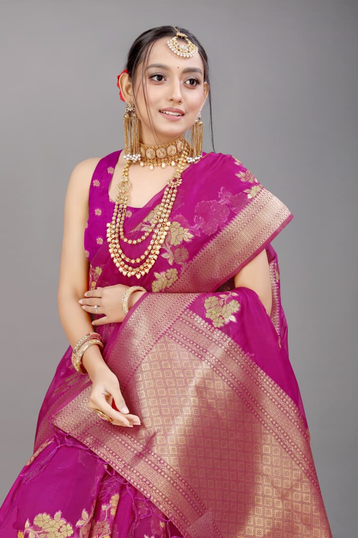 Pure organza Silk With gold jari
